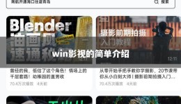 win影视的简单介绍